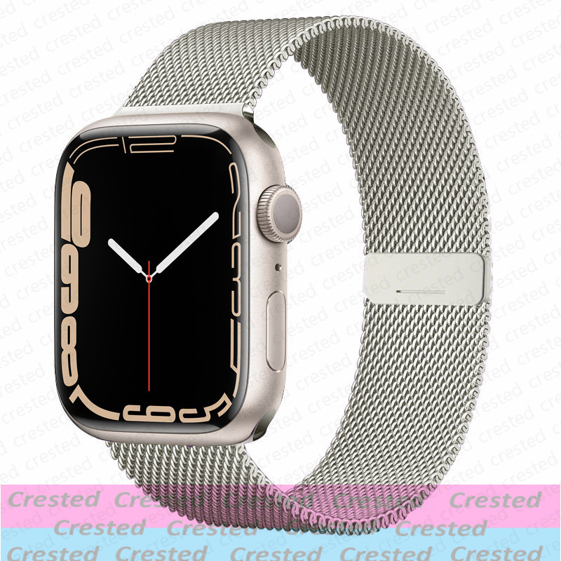 애플워치용 마그네틱 루프 스트랩 밴드 46mm 44mm - Milanese Loop Magnetic 리뷰 및 가격